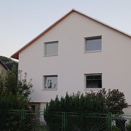 Apartmanovy Dum Terka Zazriva Bagian luar foto